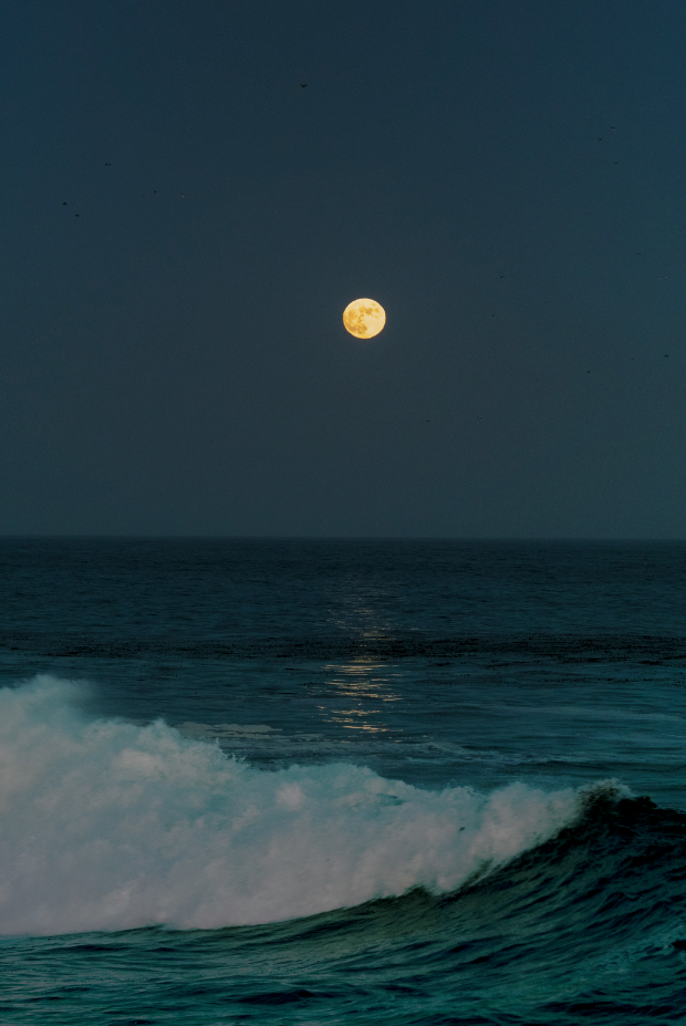 Sand Fog Tides of the Moon 25 oz scented candle - Image 2